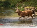 WildPark Tambach - Oktober 2021