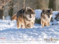 Kalender Wildpark Tambach 2023