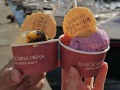 Piran: Eis am Hafen