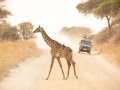 Auf Augenhöhe mit der Wildnis - (c) Nicole Lanig